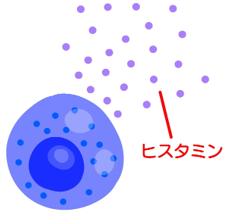 アトピー性皮膚炎のかゆみを誘発する原因のヒスタミンとは？